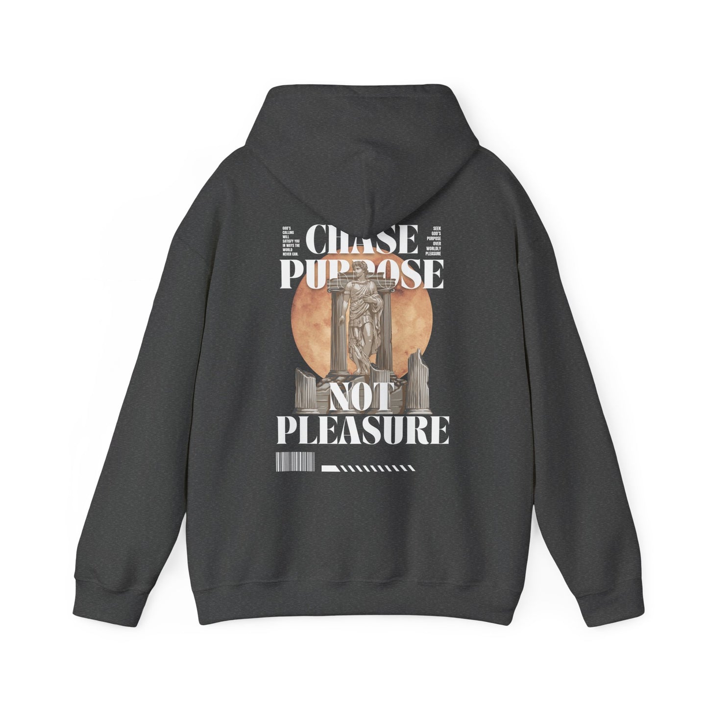 Hooded Sweatshirt - Chase Purpose Not Pleasure