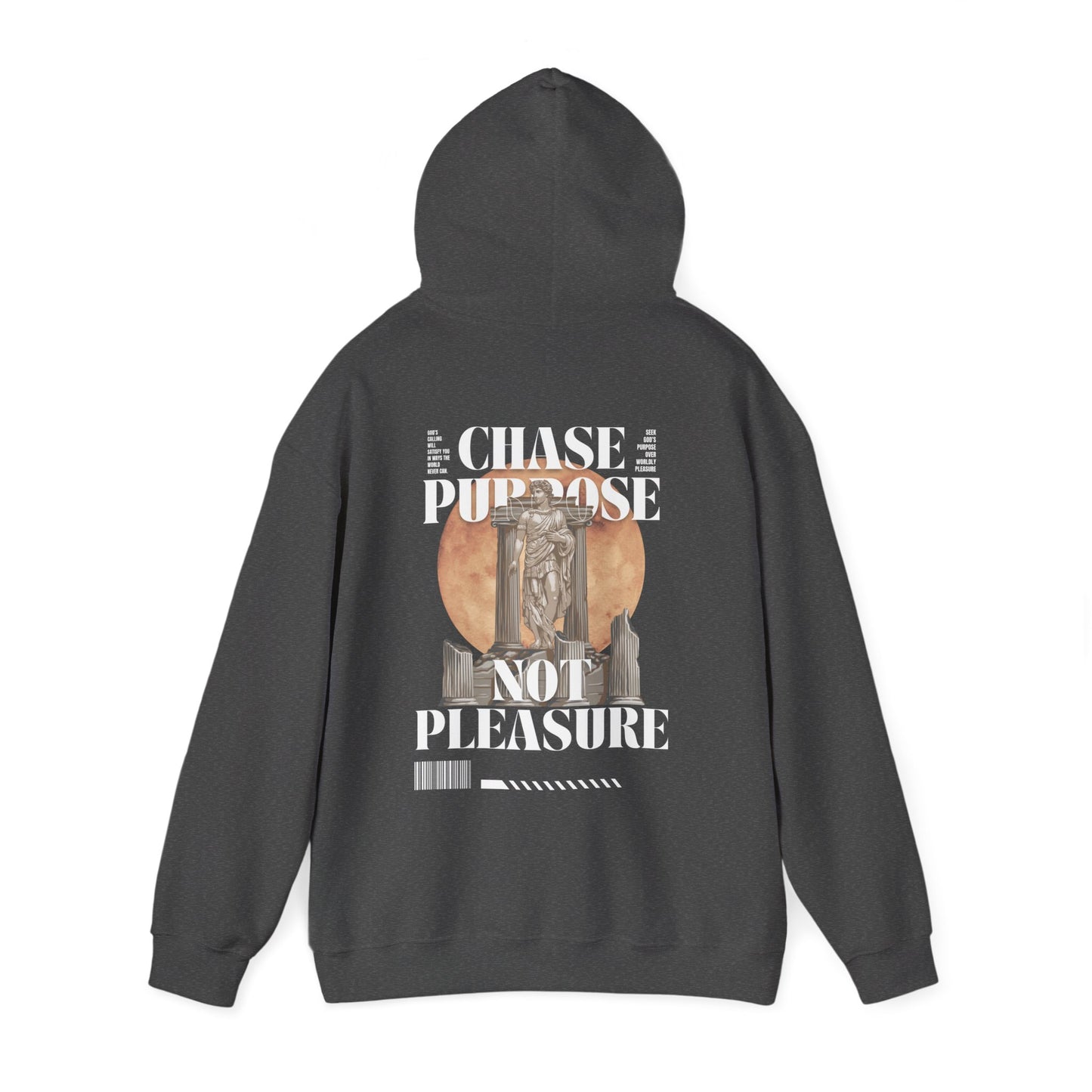 Hooded Sweatshirt - Chase Purpose Not Pleasure