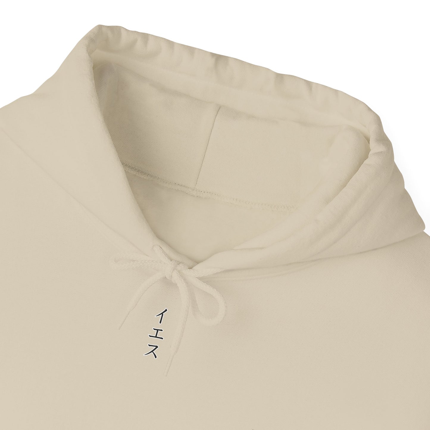 Christian Hoodie — ‘Gospel Culture’ Dove Graphic Pullover