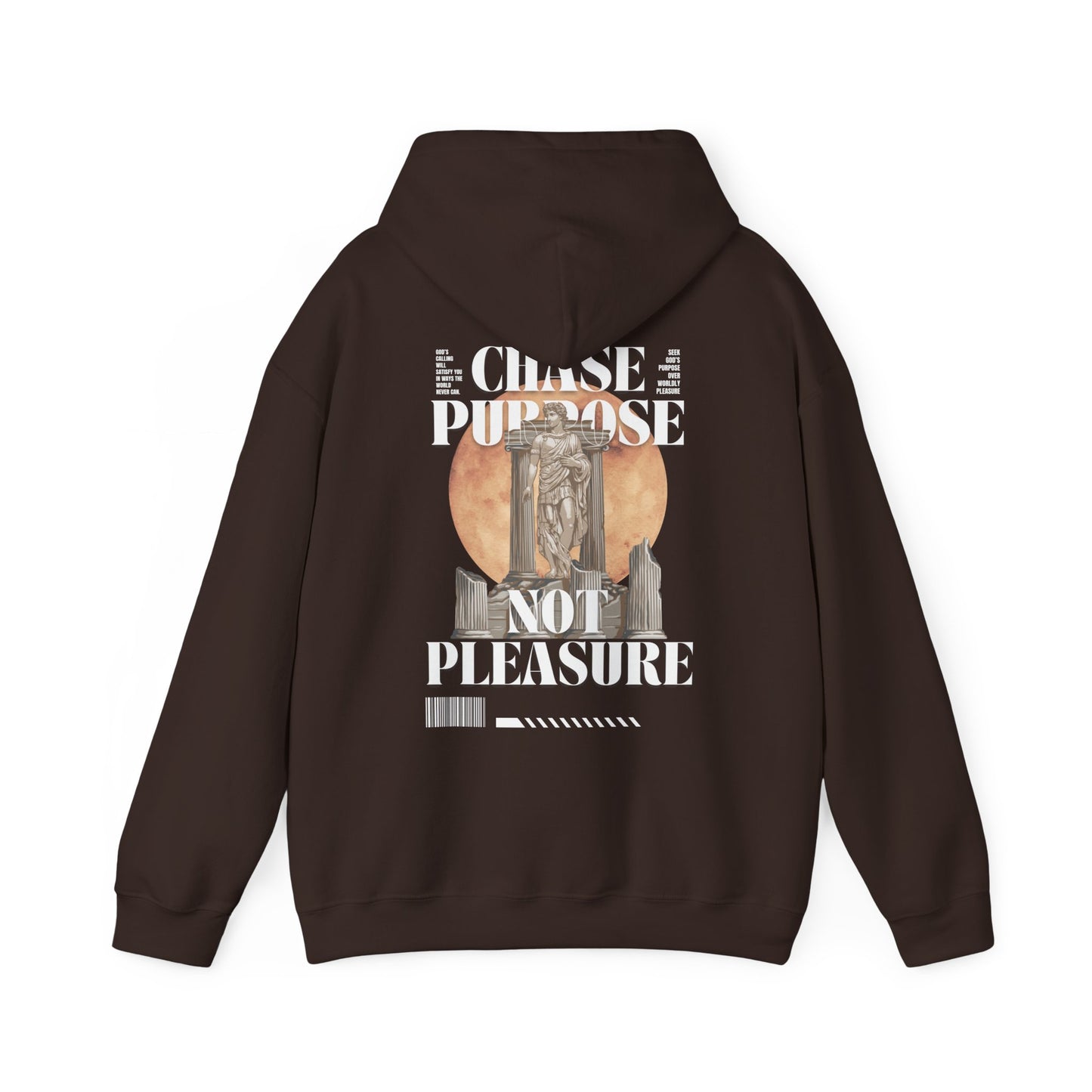 Hooded Sweatshirt - Chase Purpose Not Pleasure