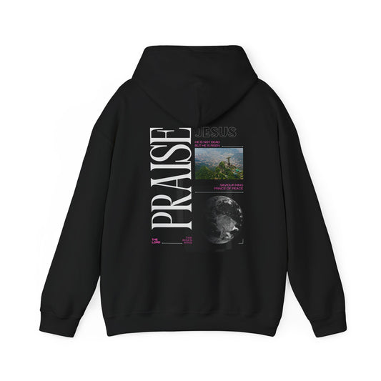 Praise Jesus Hoodie Christian Sweatshirt